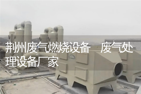 荆州废气燃烧设备 废气处理设备厂家